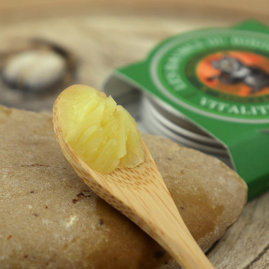 Niezwykły balsam sowi z arniką, Witalność mięśni, ECOCERT, 30 ml, Les Baumes du Hibou