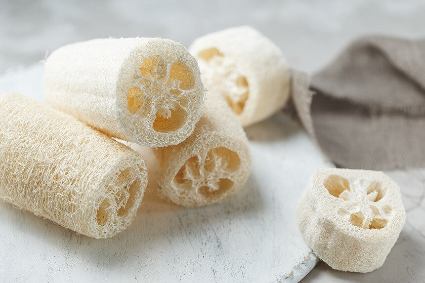 Gąbka Luffa, naturalna gąbka roślinna do mycia twarzy i ciała, rozmiar S, 7x5 cm, Wild Nature